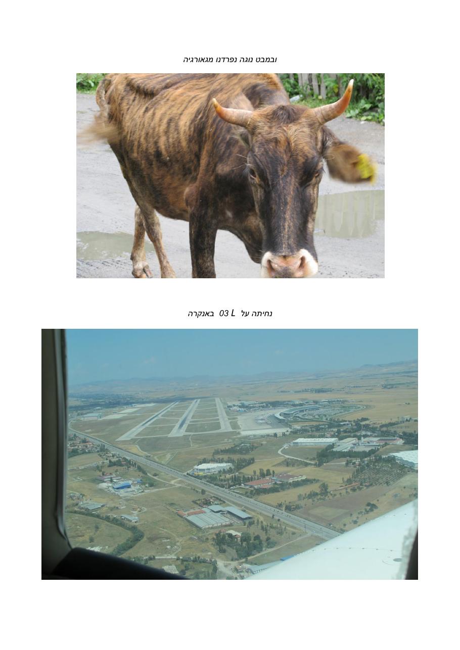 georgia0714 – עמוד 13