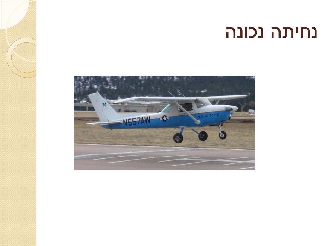 קנגרו - סיבות והדרך לטפל – עמוד 3