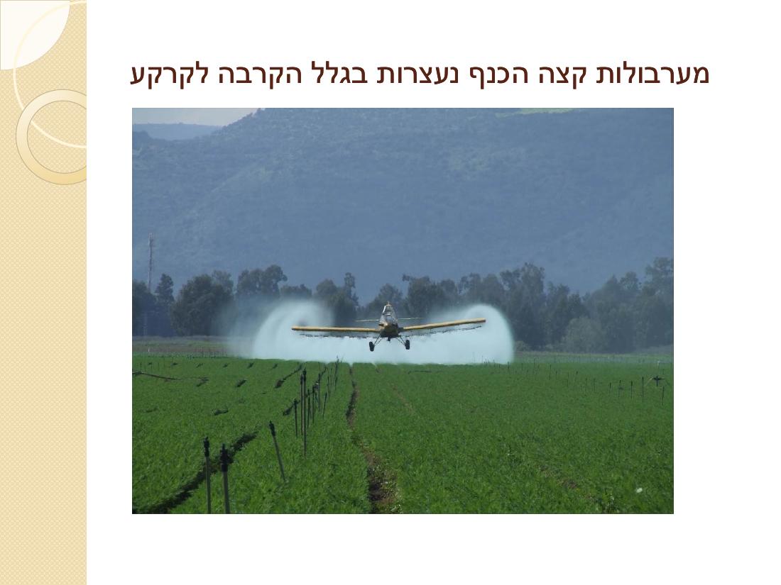 קנגרו - סיבות והדרך לטפל – עמוד 15