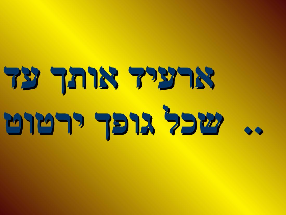shapa – עמוד 4