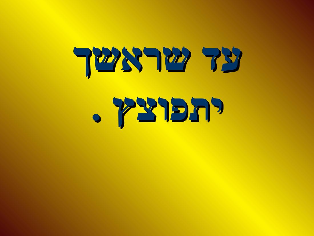 shapa – עמוד 8