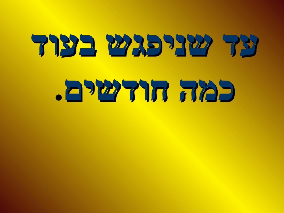 shapa – עמוד 10