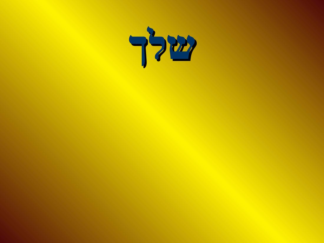 shapa – עמוד 11