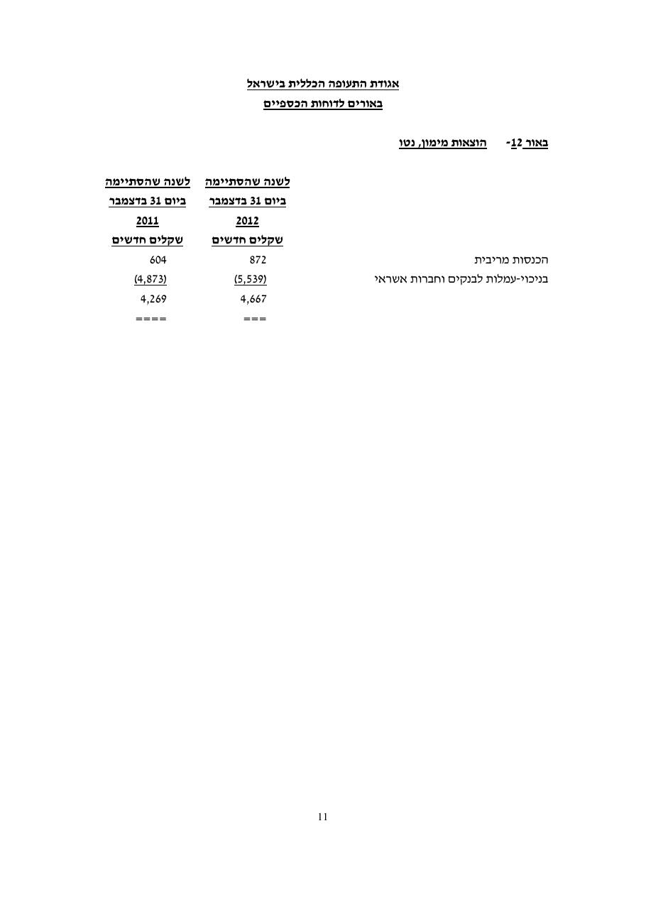 דוח כספי אגודת התעופה 2012 – עמוד 13