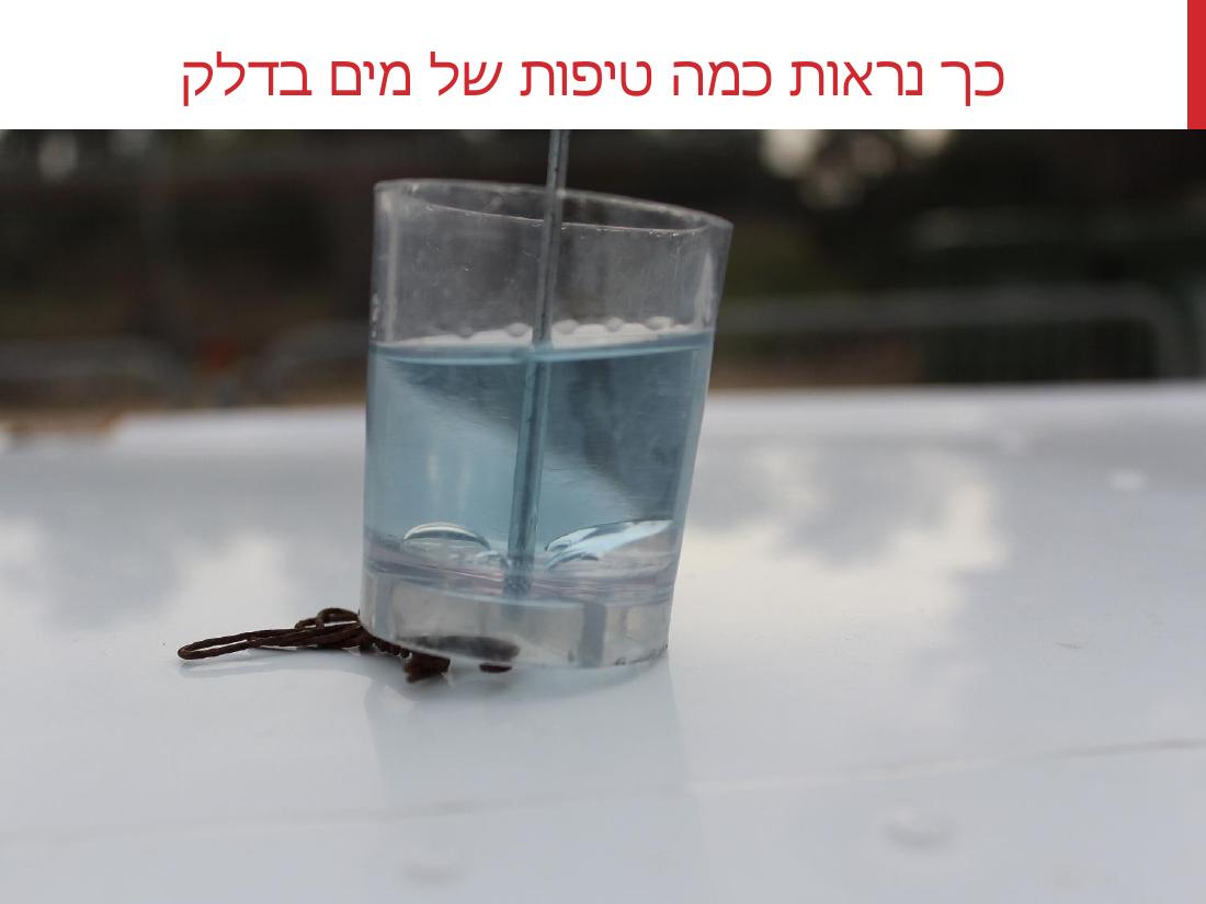 watterinfuel240114.pdf – עמוד 24