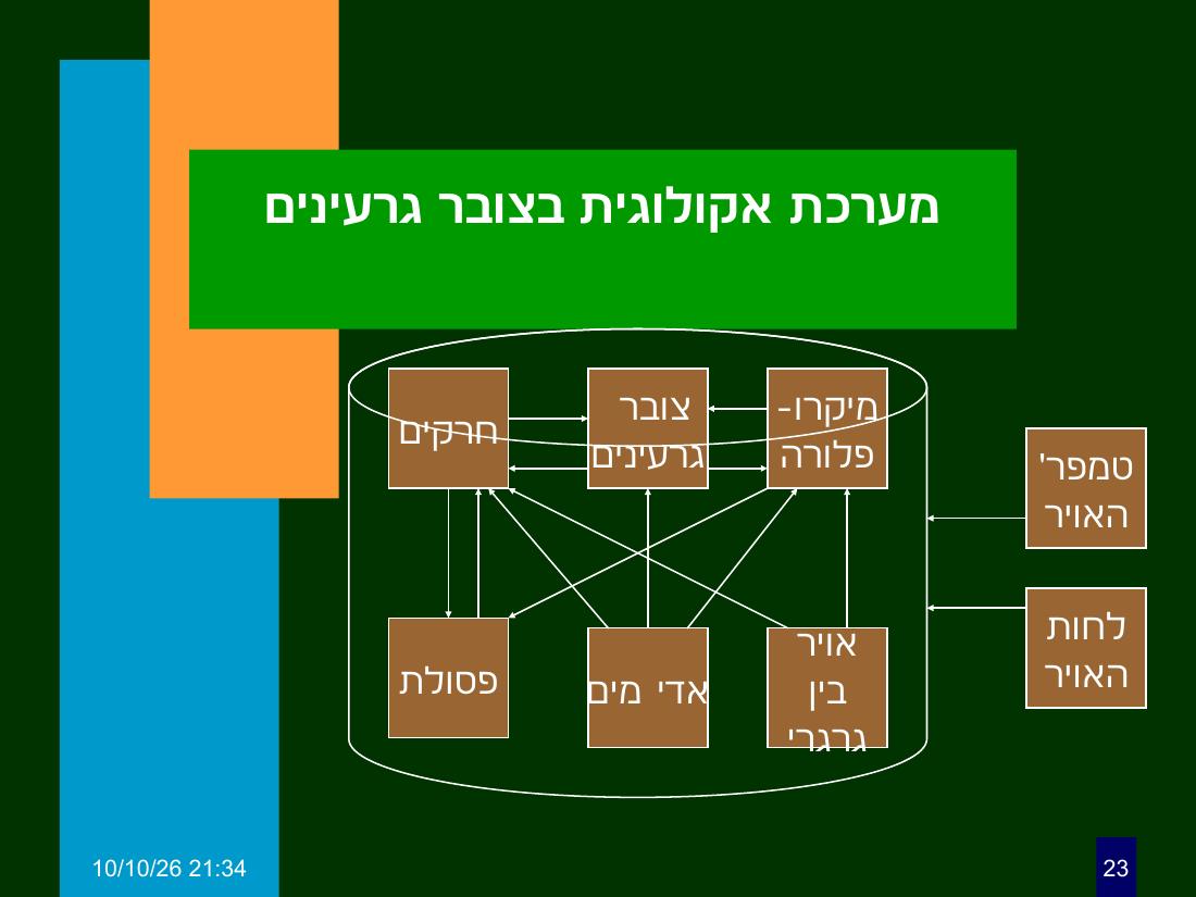 hazan ph3 – עמוד 23