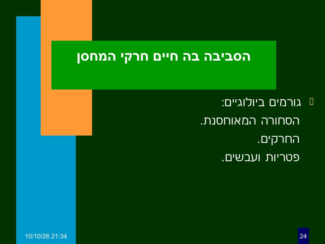 hazan ph3 – עמוד 24