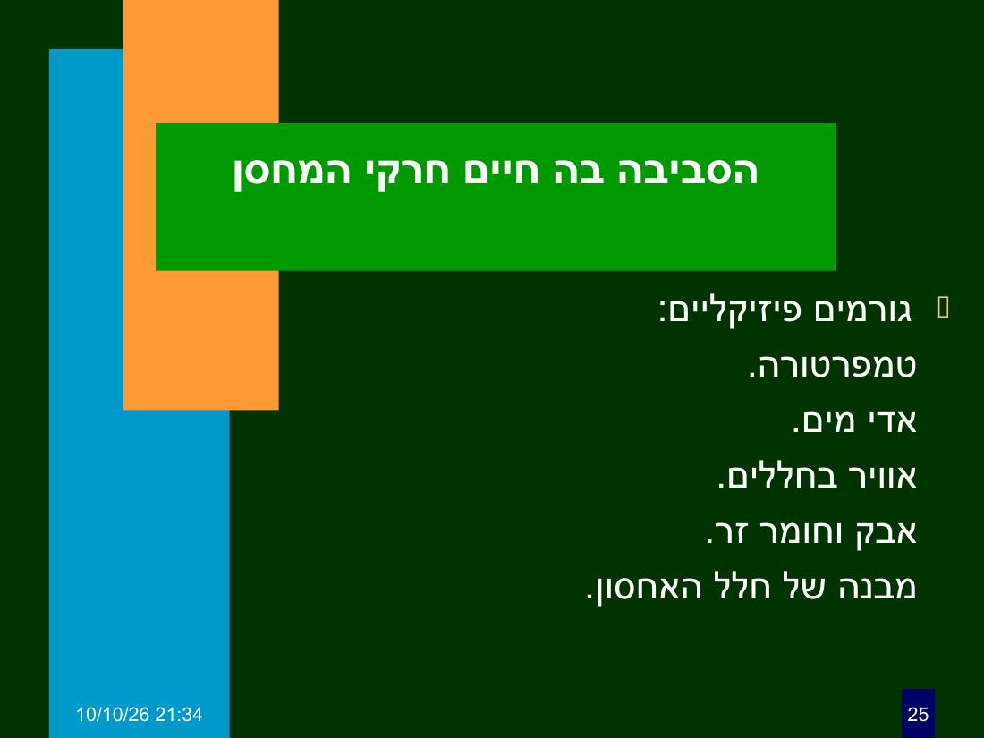 hazan ph3 – עמוד 25