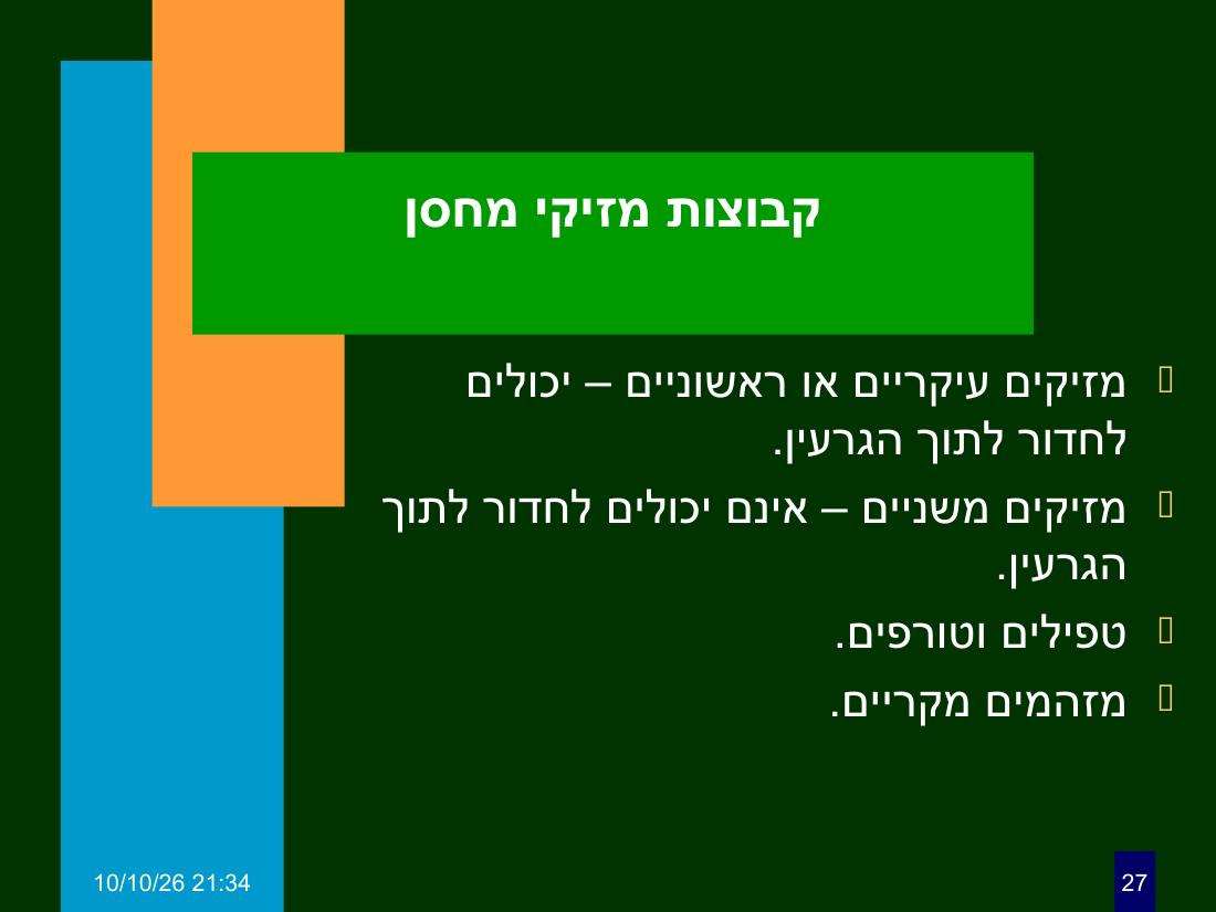 hazan ph3 – עמוד 27