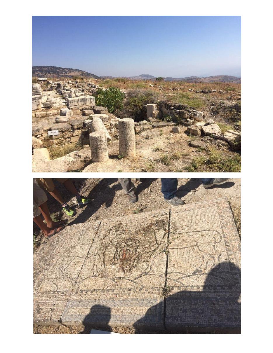 dalton190816 – עמוד 5