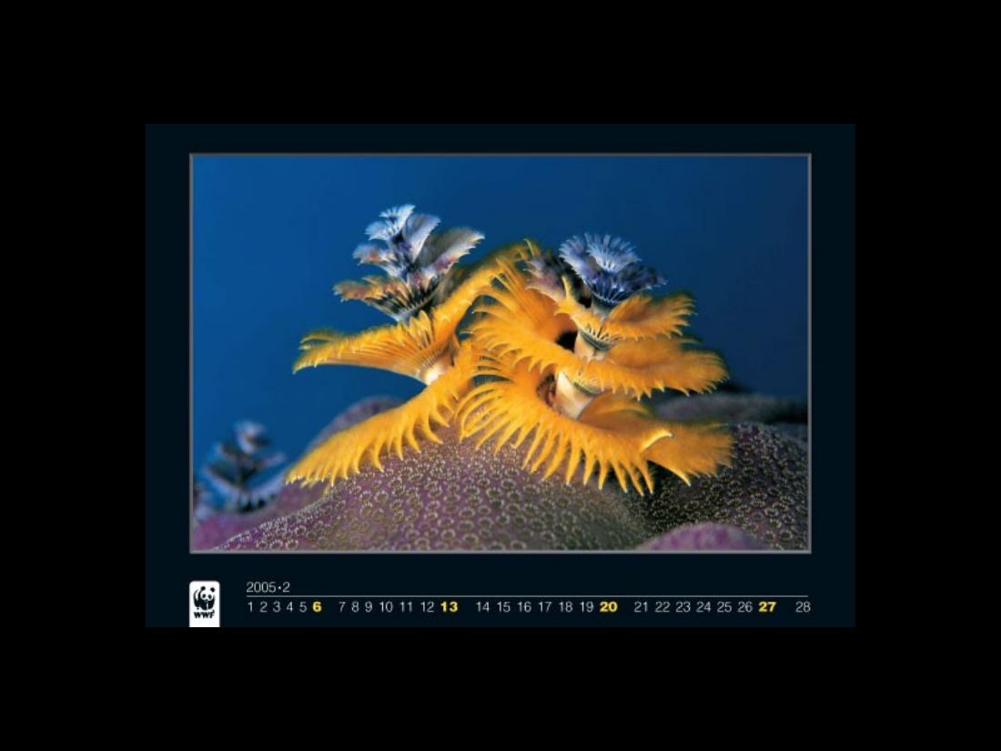 1022Calendar2005 – עמוד 2