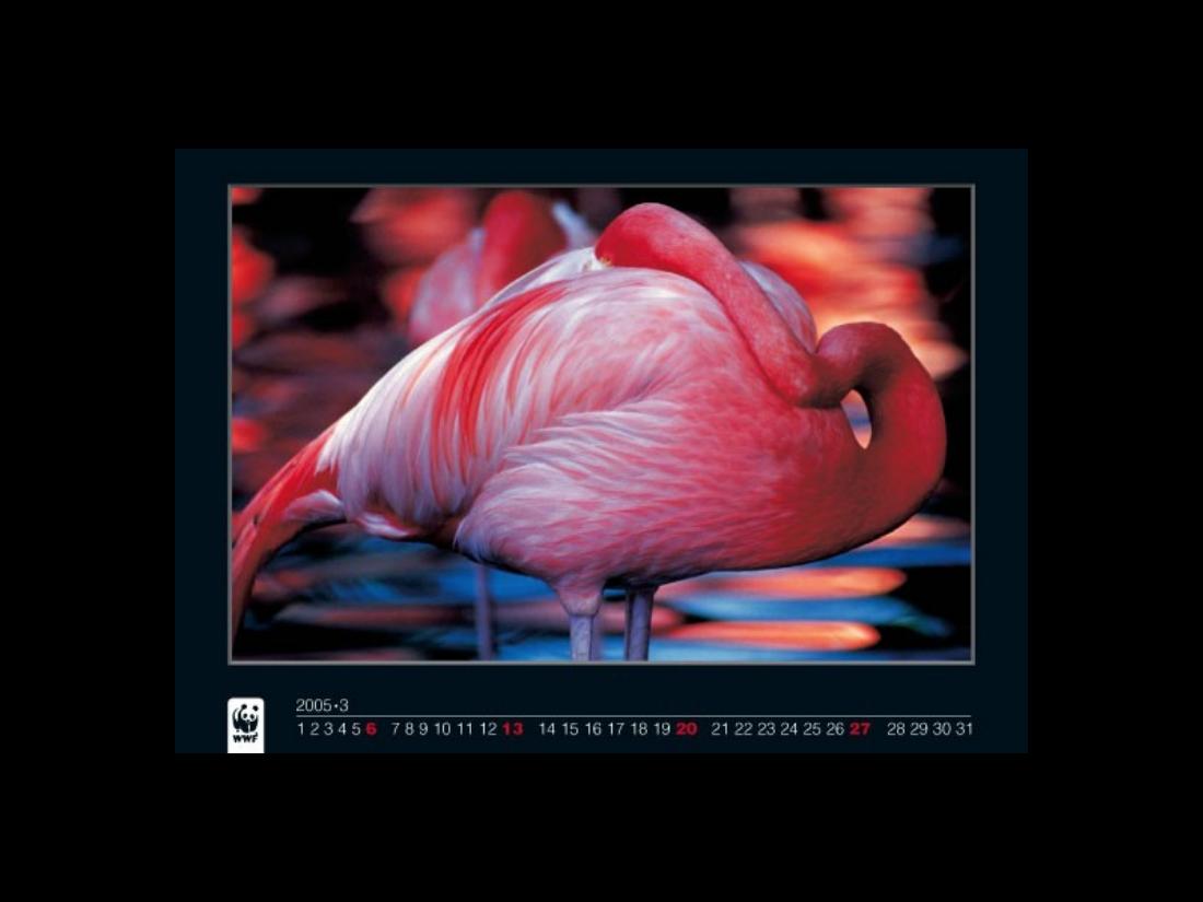 1022Calendar2005 – עמוד 3