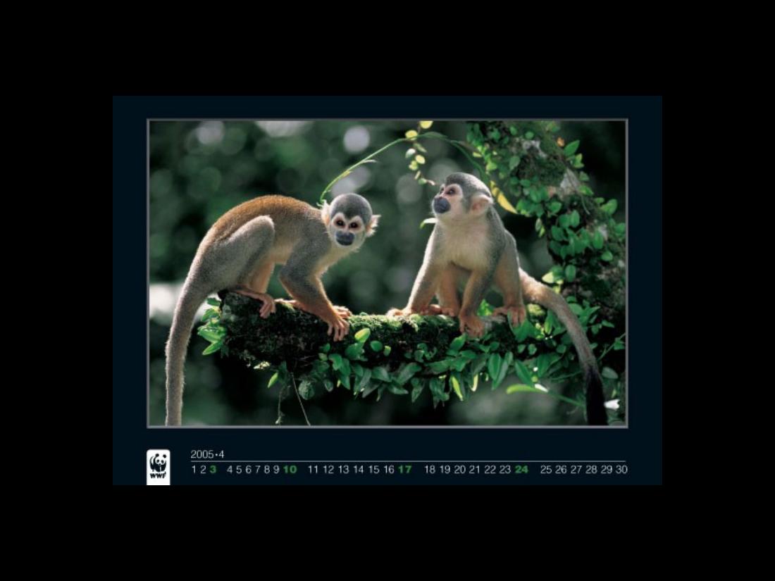 1022Calendar2005 – עמוד 4