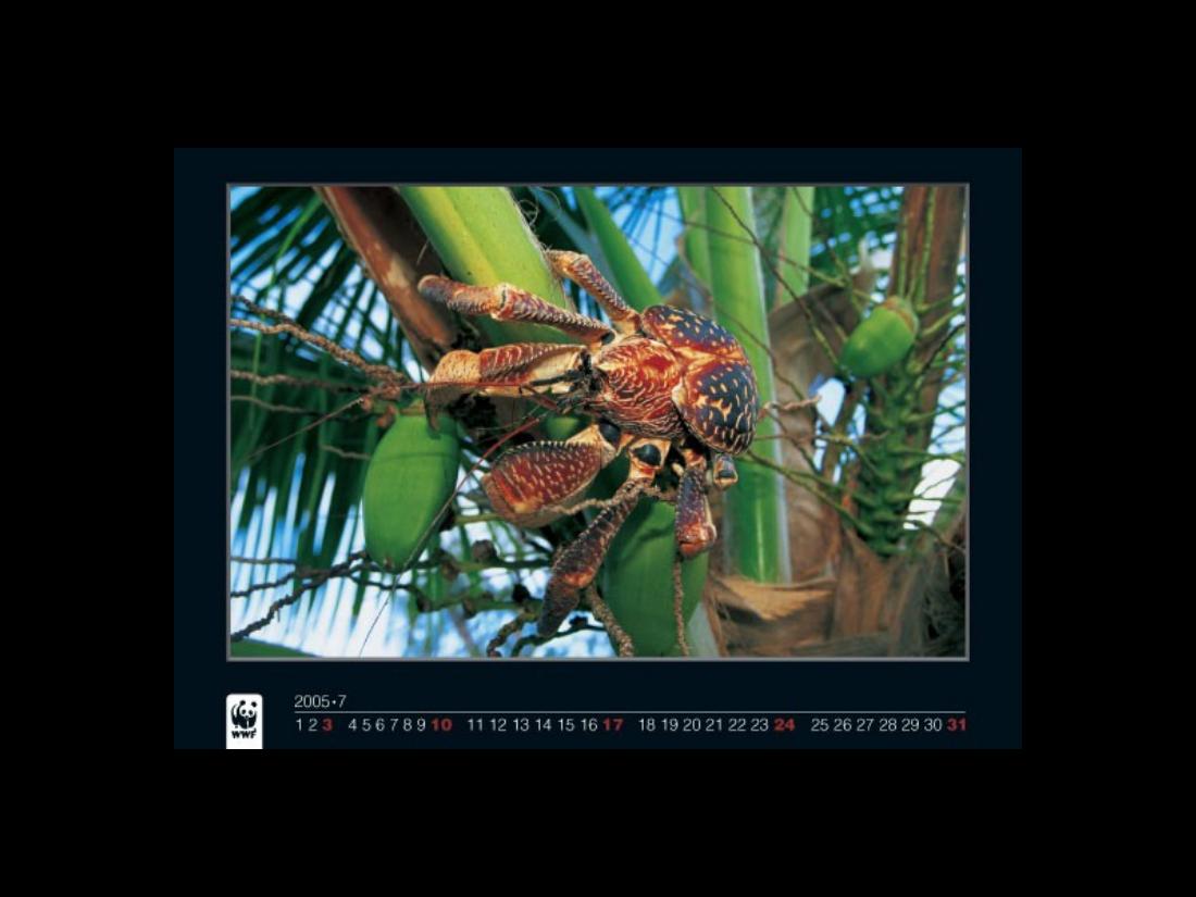 1022Calendar2005 – עמוד 7