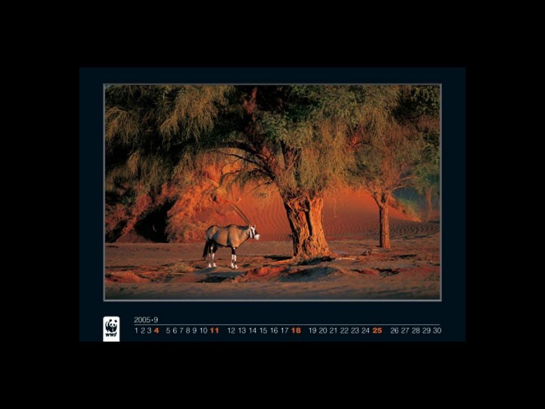 1022Calendar2005 – עמוד 9