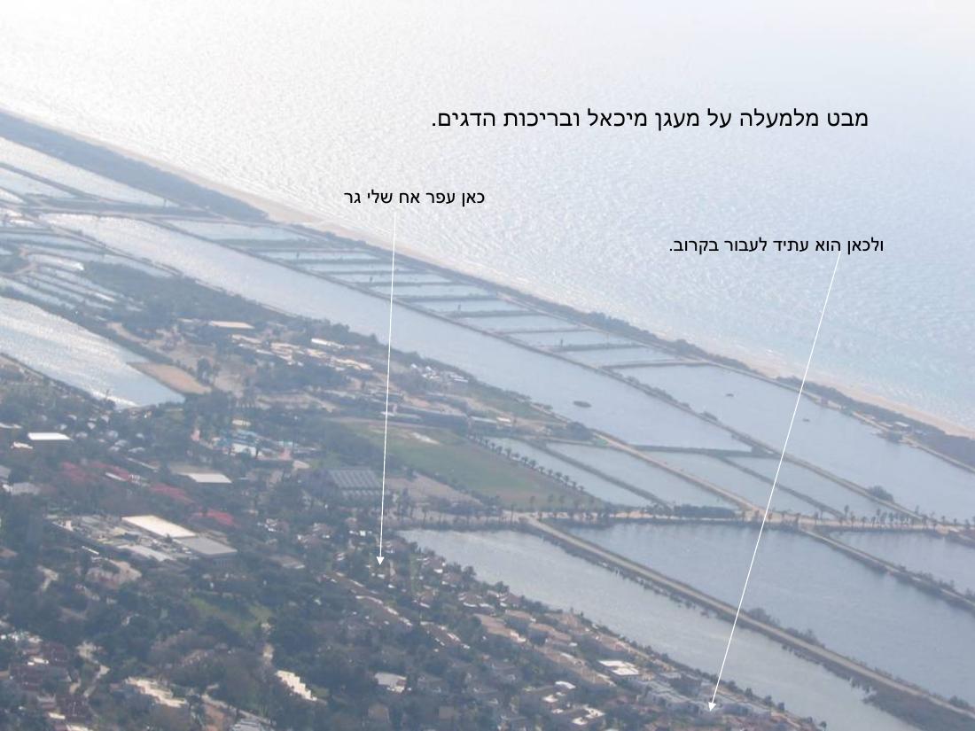 במצנח רחיפה מהגלבוע למעגן מיכאל – עמוד 33