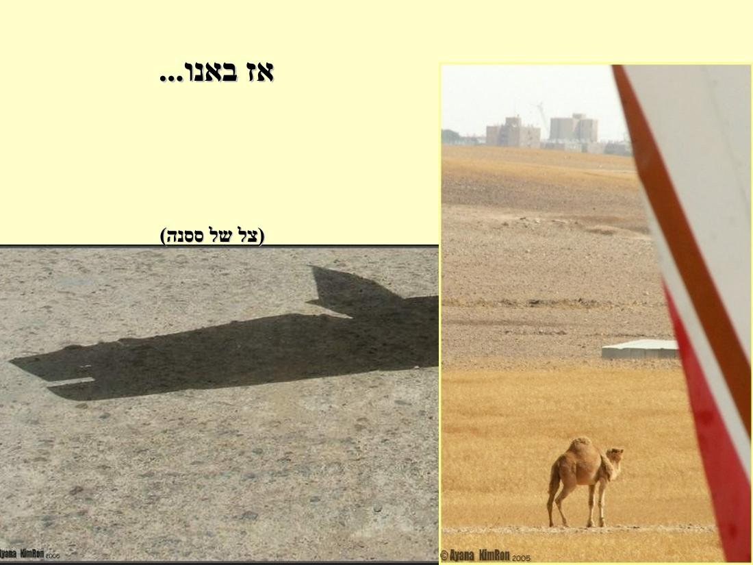 1283ARAD205 – עמוד 2