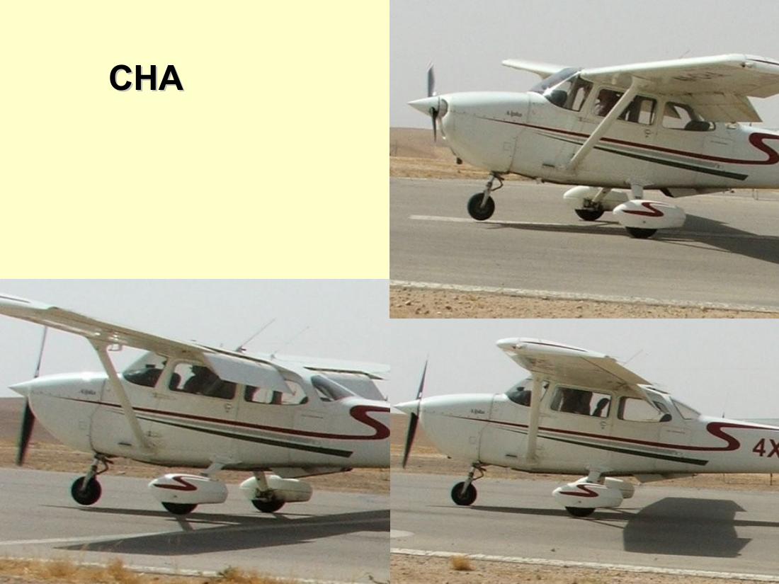 1283ARAD205 – עמוד 12