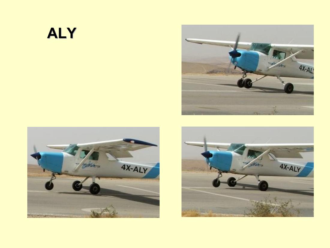 1283ARAD205 – עמוד 14