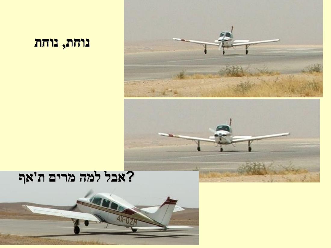 1283ARAD205 – עמוד 29