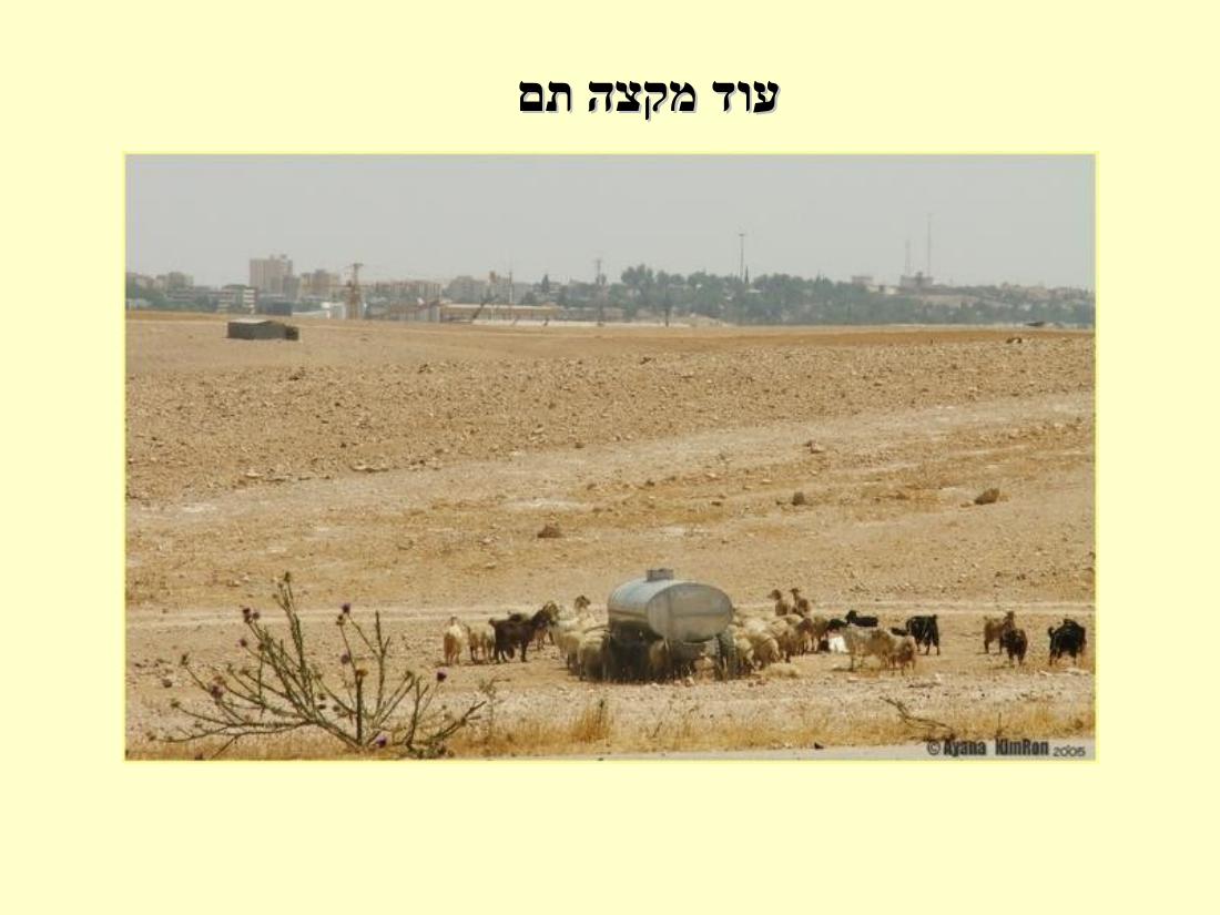 1283ARAD205 – עמוד 31