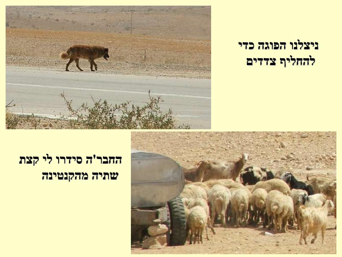 1283ARAD205 – עמוד 47