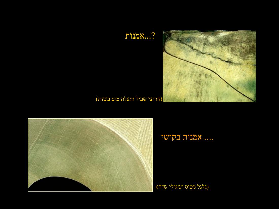 מצגת תמונות באדיבות עיינה קימרון – עמוד 3