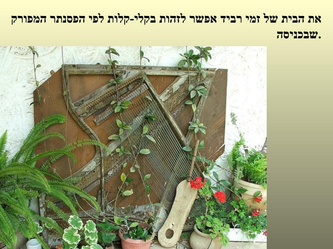 מצגת תמונות באדיבות עיינה קימרון – עמוד 6