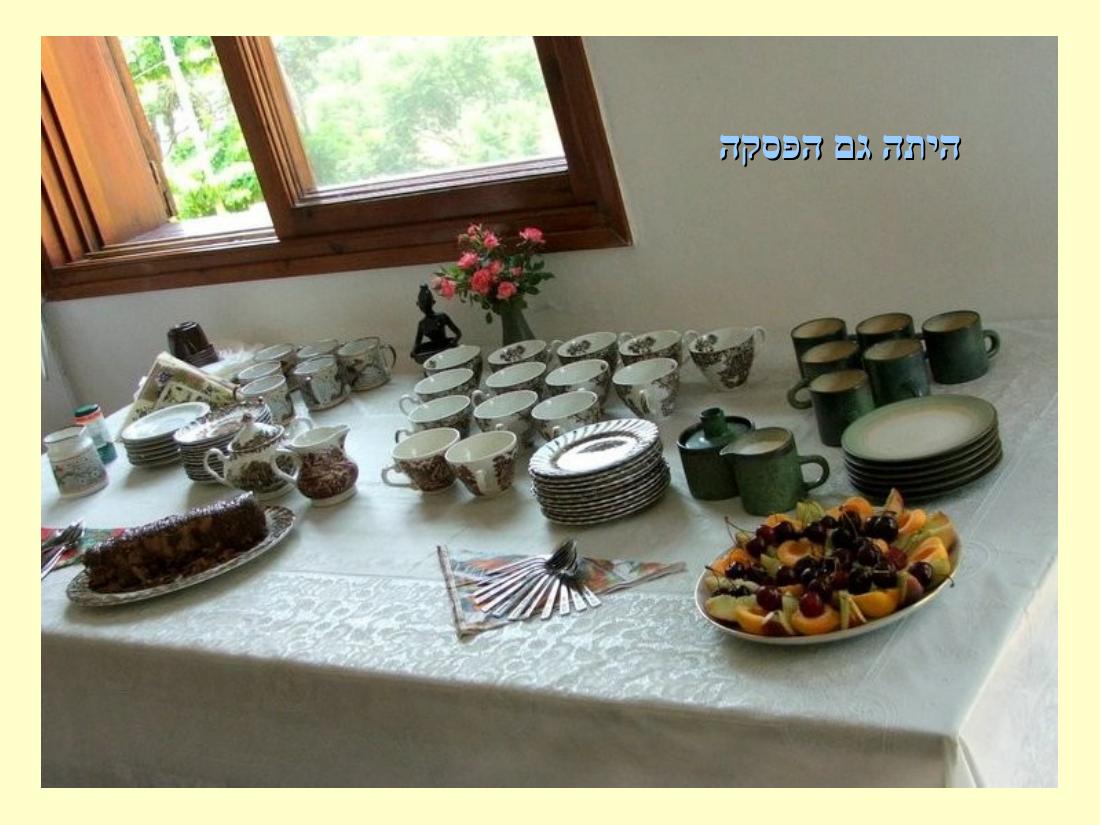 מצגת תמונות באדיבות עיינה קימרון – עמוד 10