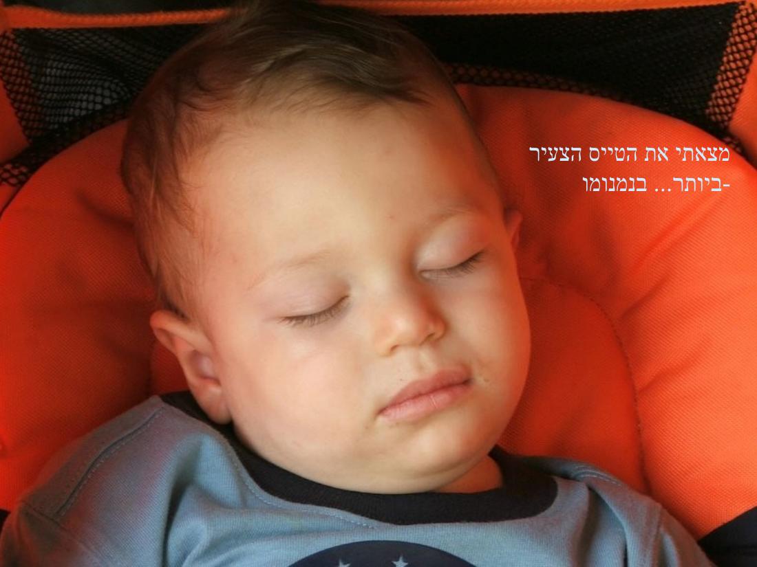 מצגת תמונות באדיבות עיינה קימרון – עמוד 17