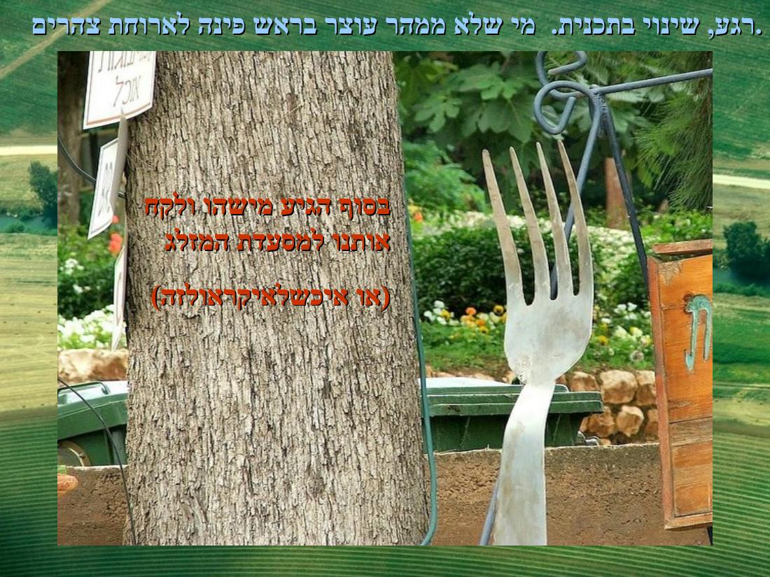 מצגת תמונות באדיבות עיינה קימרון – עמוד 19