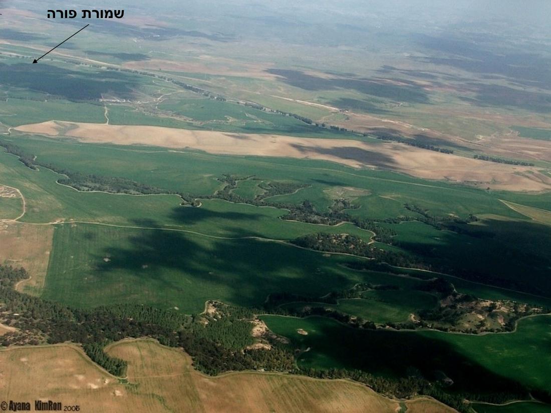 1669kciot – עמוד 15