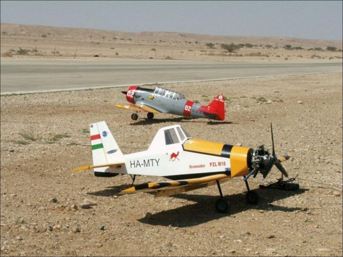 מצגת של הטיסנים באדיבות אורי איתן – עמוד 2