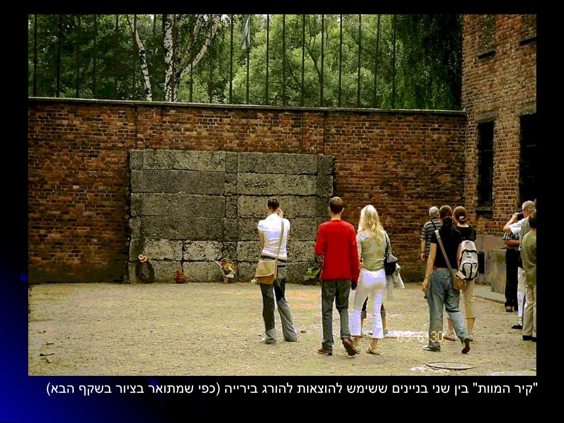 מצגת עם תמונות מהביקור במחנות ההשמדה בפולין – עמוד 4