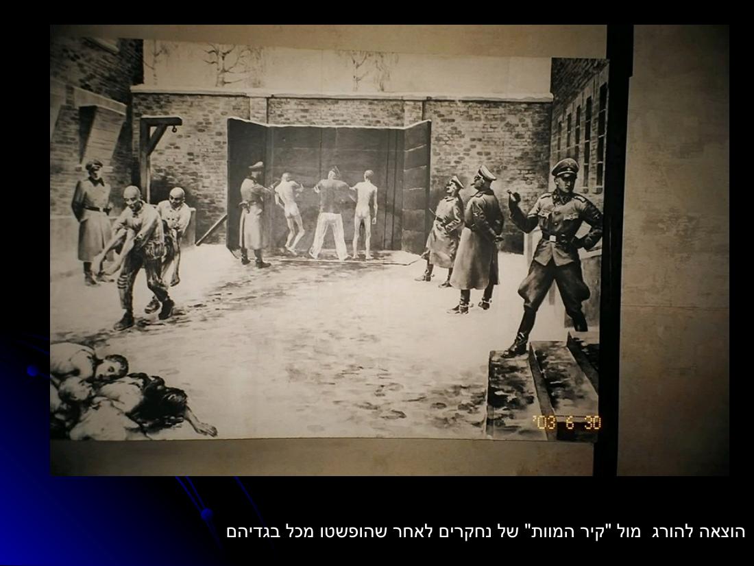 מצגת עם תמונות מהביקור במחנות ההשמדה בפולין – עמוד 5