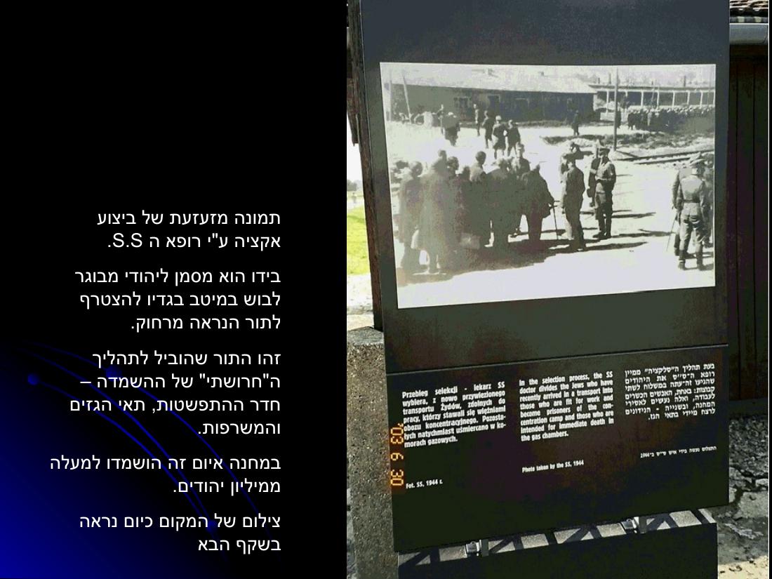 מצגת עם תמונות מהביקור במחנות ההשמדה בפולין – עמוד 9