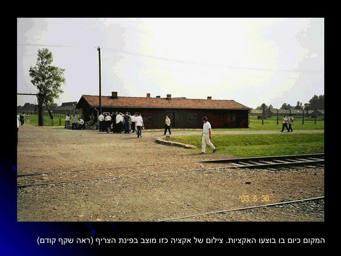 מצגת עם תמונות מהביקור במחנות ההשמדה בפולין – עמוד 10