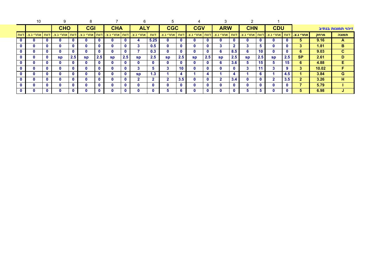 קובץ EXCEL עם פרוט הניקוד של כל מתחרה – עמוד 11