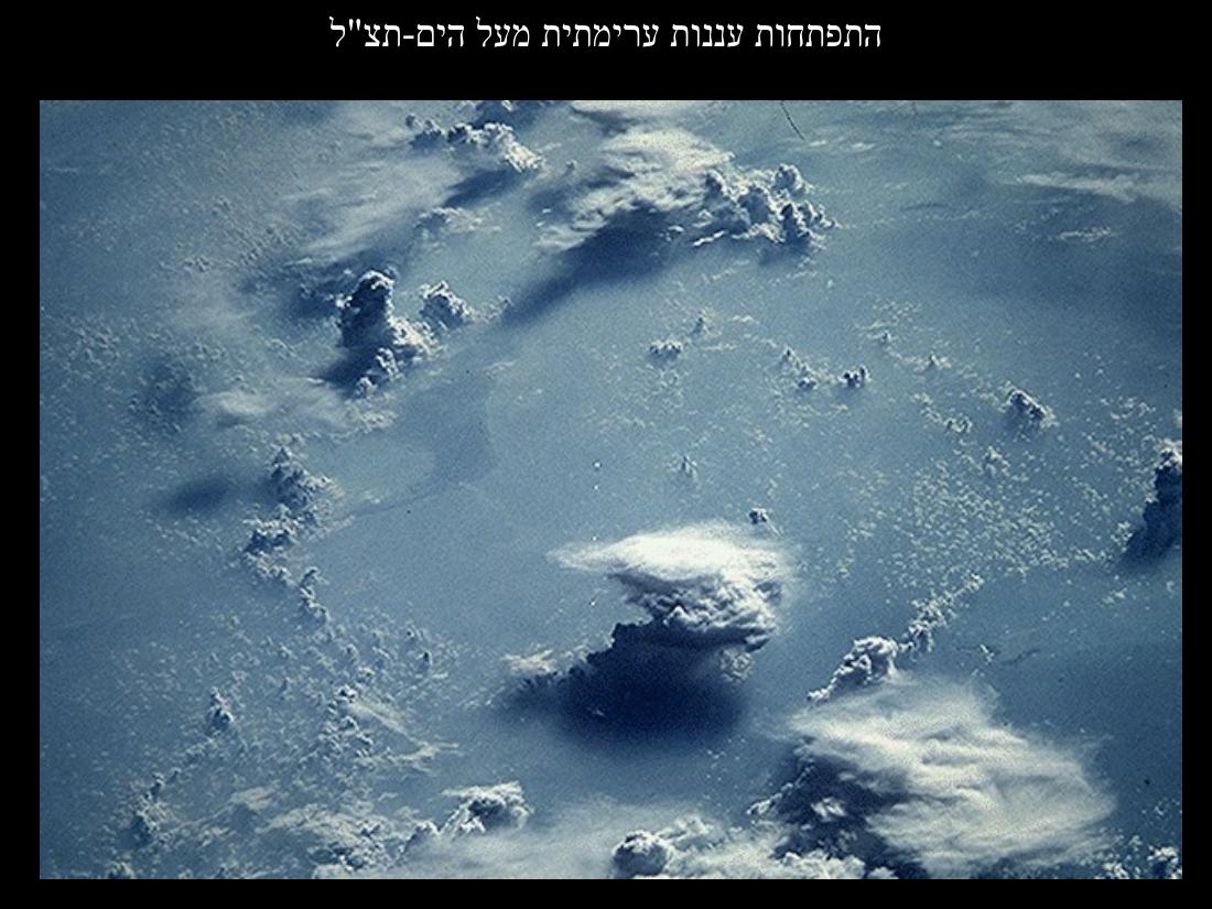 779weather – עמוד 7
