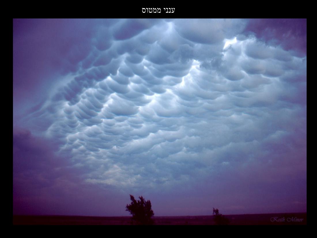 779weather – עמוד 9