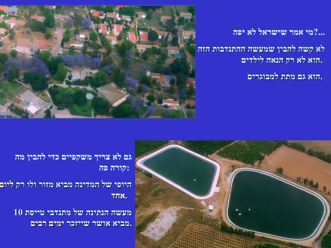 יום העצמאות – עמוד 7