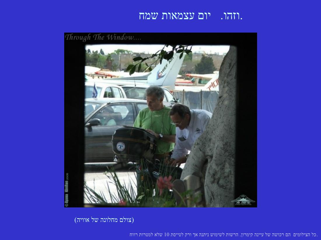 יום העצמאות – עמוד 12