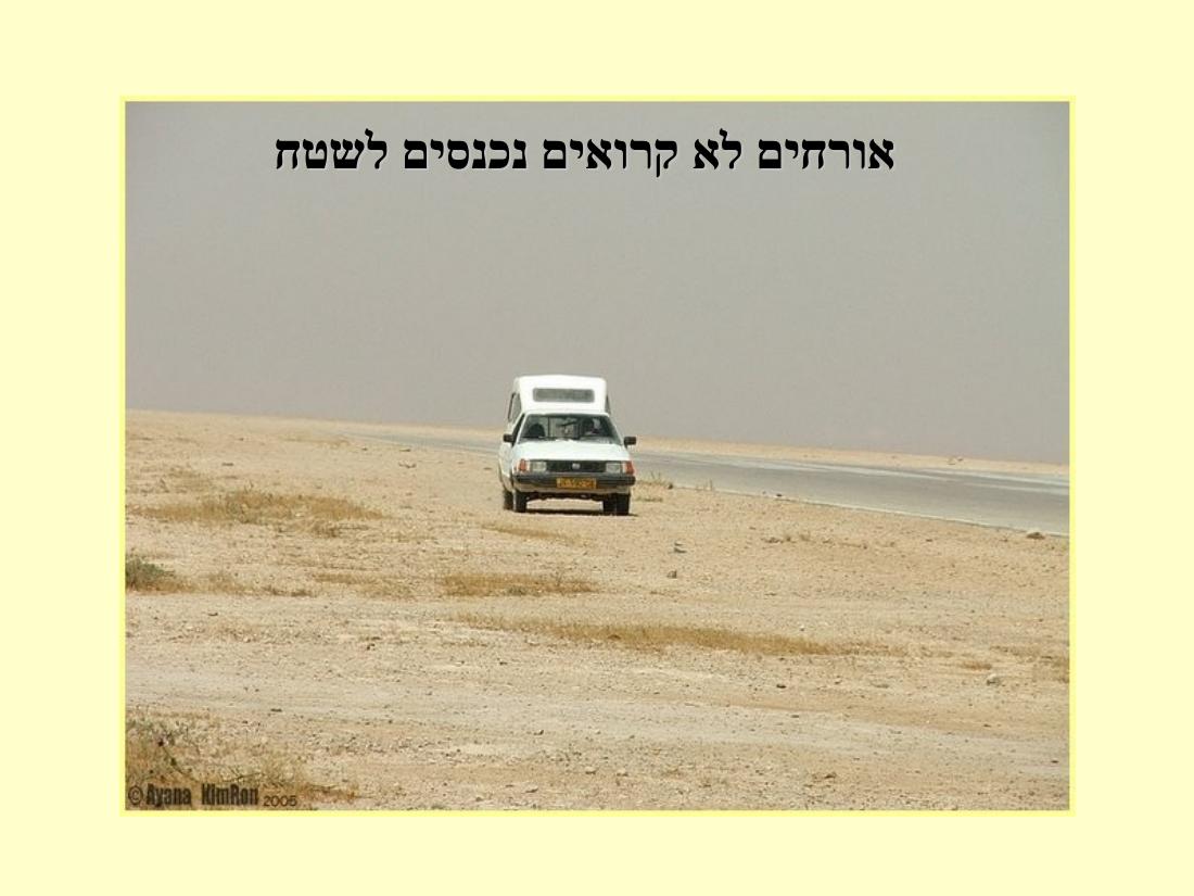 תחרות נחיתות בערד – עמוד 18