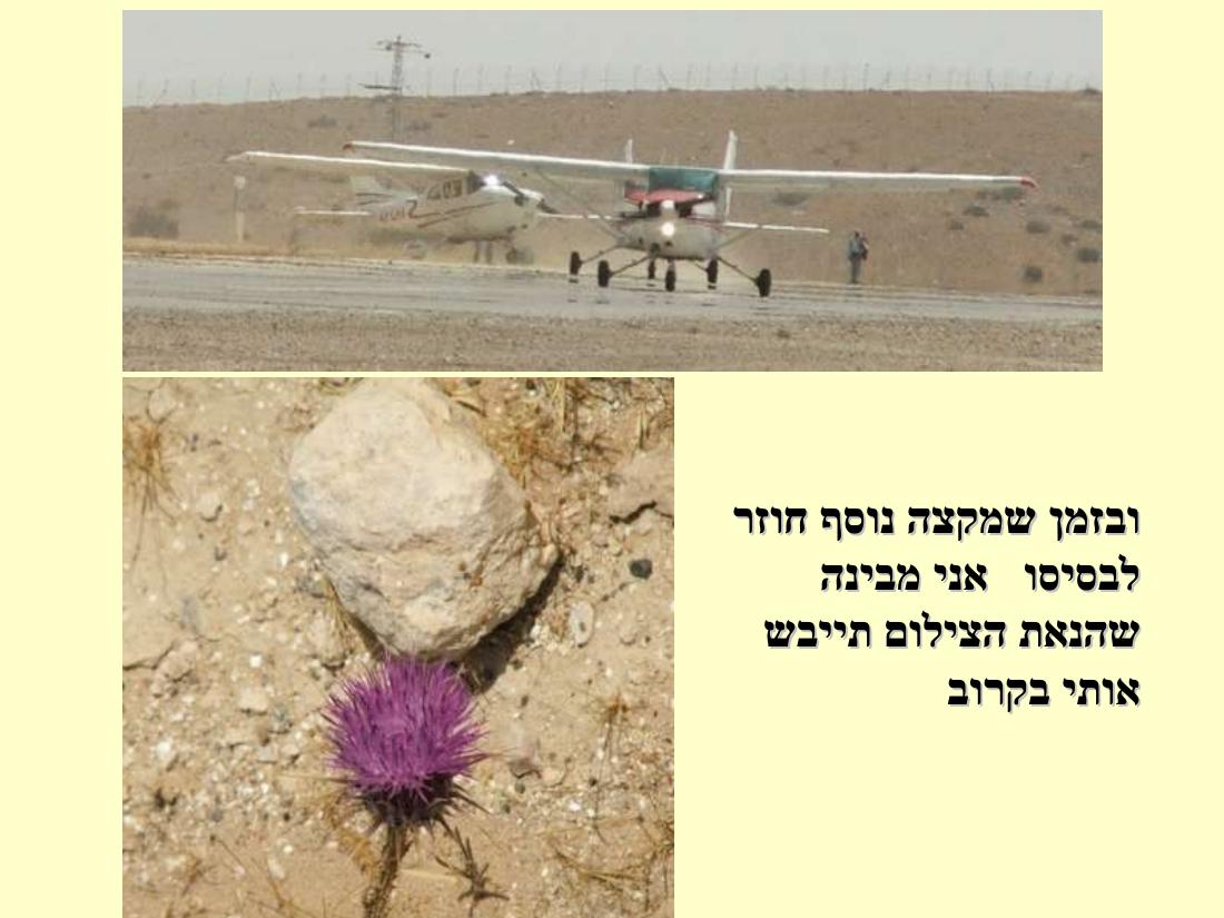 תחרות נחיתות בערד – עמוד 41