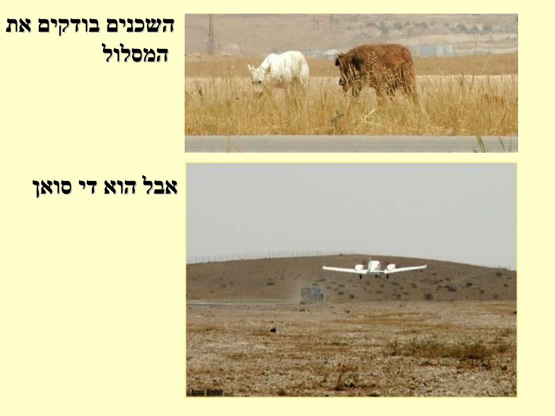 תחרות נחיתות בערד – עמוד 42