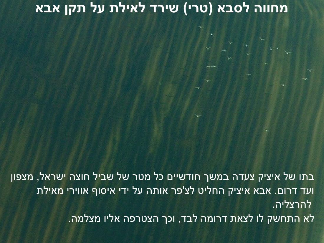 עיינה טסה לאילת – עמוד 1