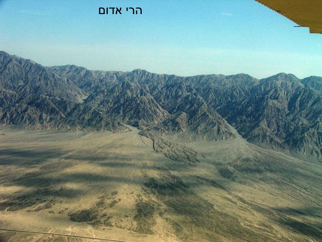 עיינה טסה לאילת – עמוד 6