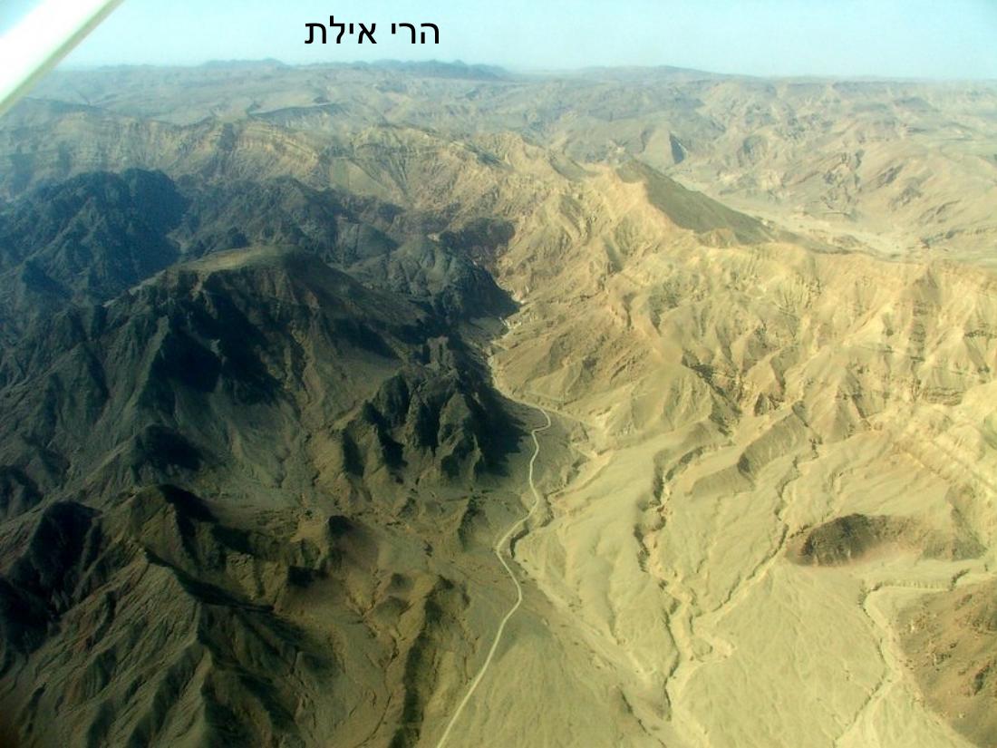 עיינה טסה לאילת – עמוד 7
