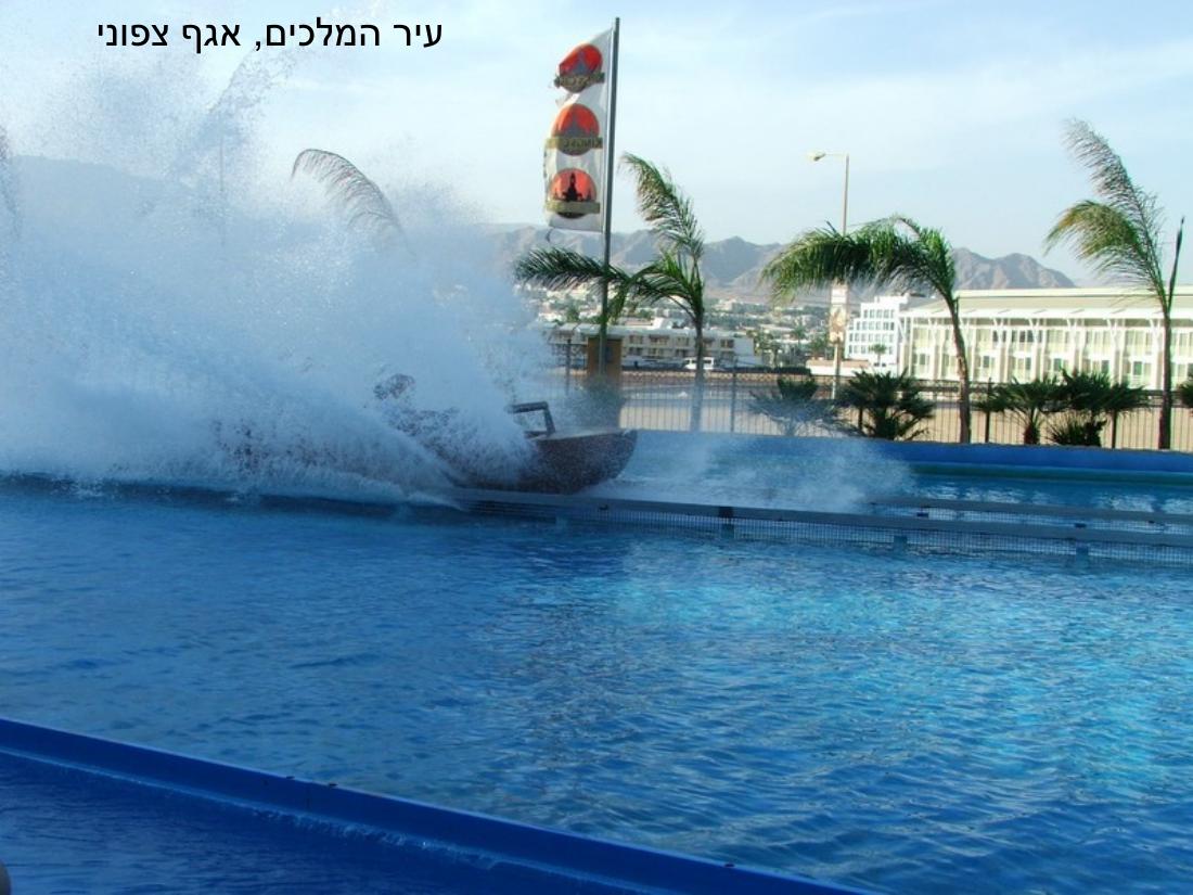 עיינה טסה לאילת – עמוד 17