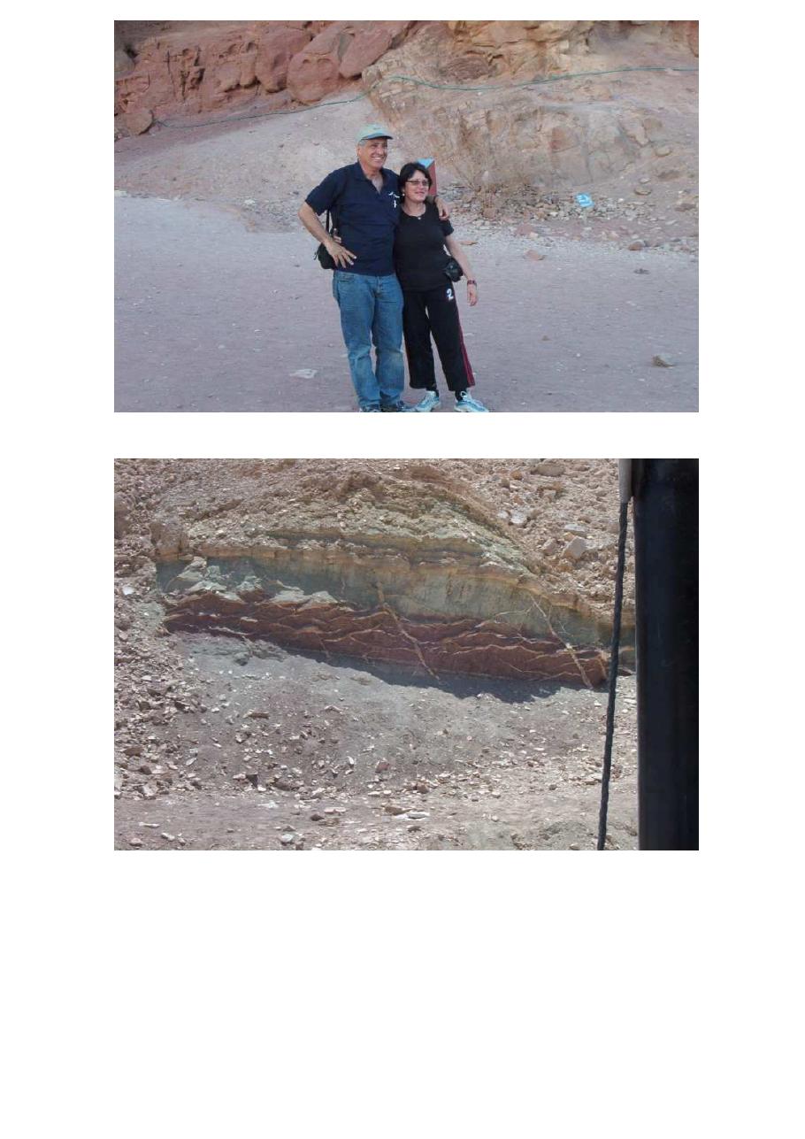 המטס ליוטבתה – עמוד 17